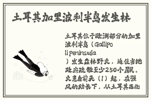 国产一品二品三品无码